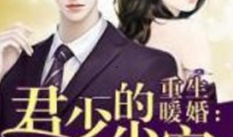 娱乐圈柚子君爆料全部小说,柚子君独家爆料，揭开小说背后的秘密世界