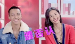 刘雯恋情爆料视频,网红与超模的甜蜜瞬间揭秘